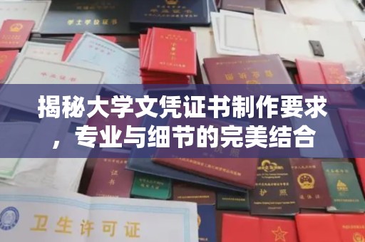 阳西揭秘大学文凭证书制作要求，专业与细节的完美结合